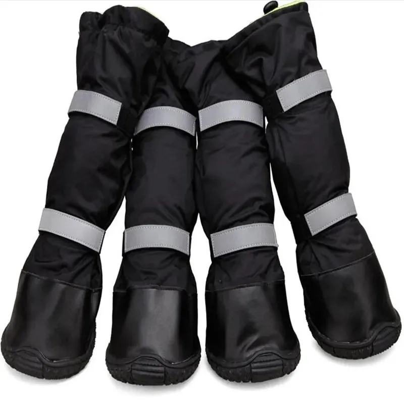 Big Dog Non Slip Shoes