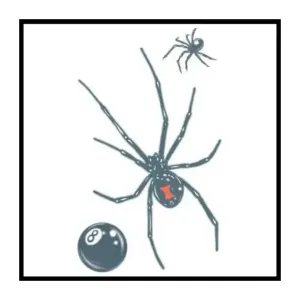 Black Widow Prison Temporary Tattoos