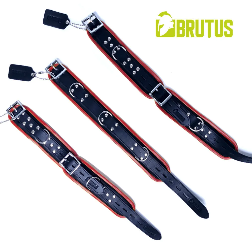 Brutus - Lederen Zwart/Rode Afsluitbare Collar