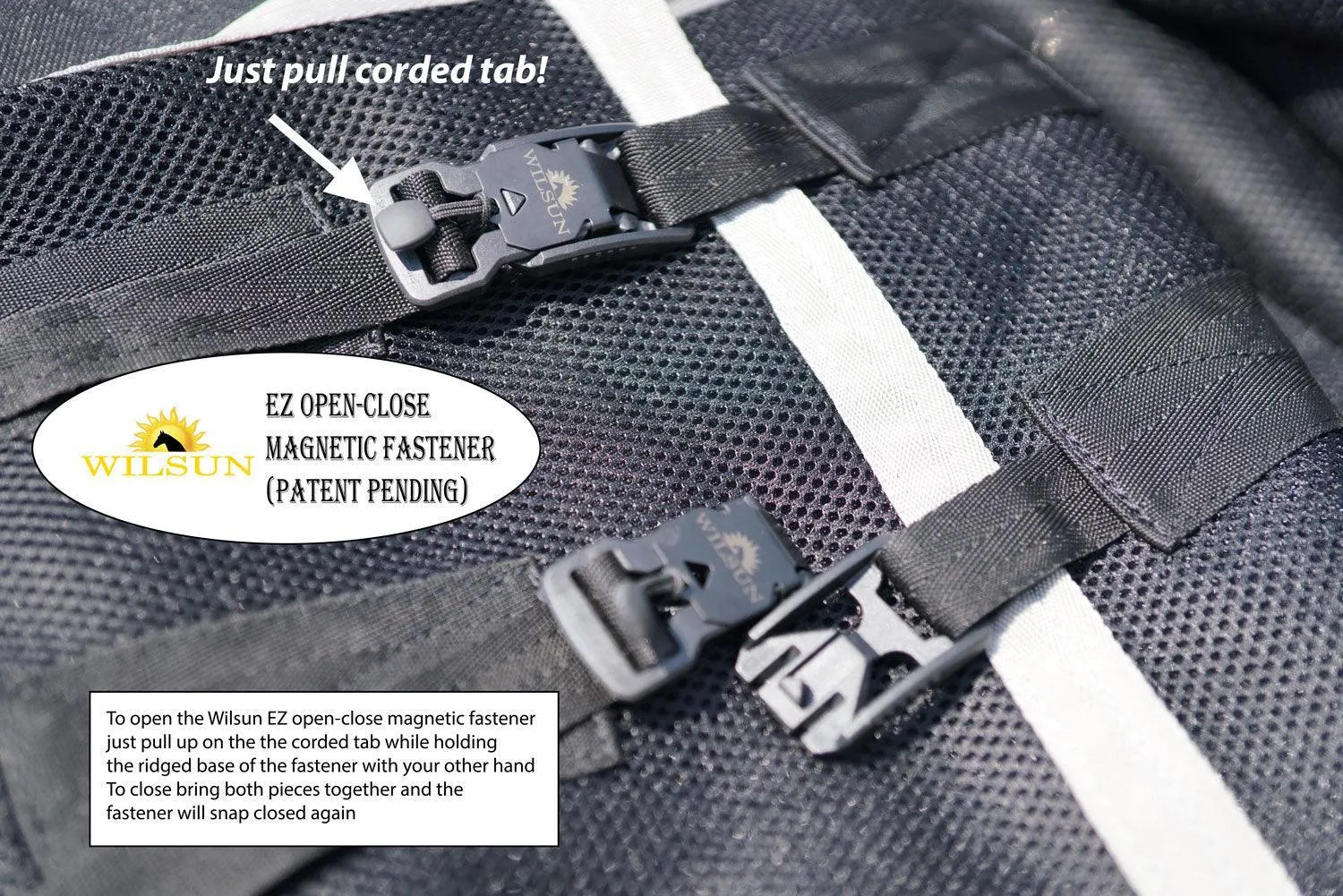 Custom Horse Sweatless Sheet