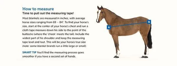 Custom Horse Sweatless Sheet