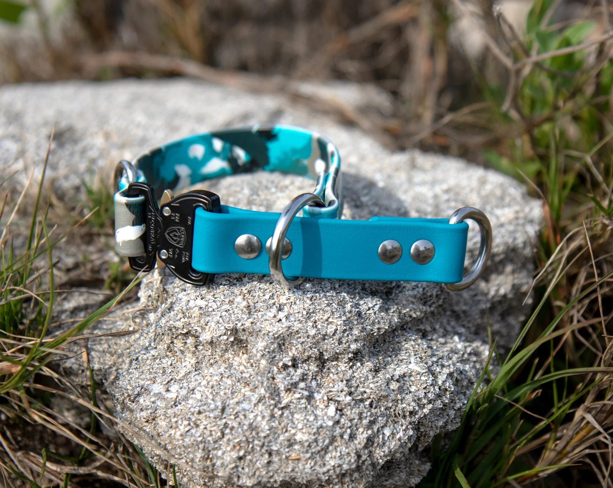 Limited Slip Patterned BioThane® Collar With Buckle