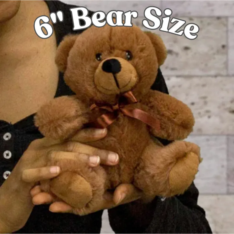 May The Wings of Heaven Teddy Bear with Message Card, PRICE INCLUDES FREE SHIPPING