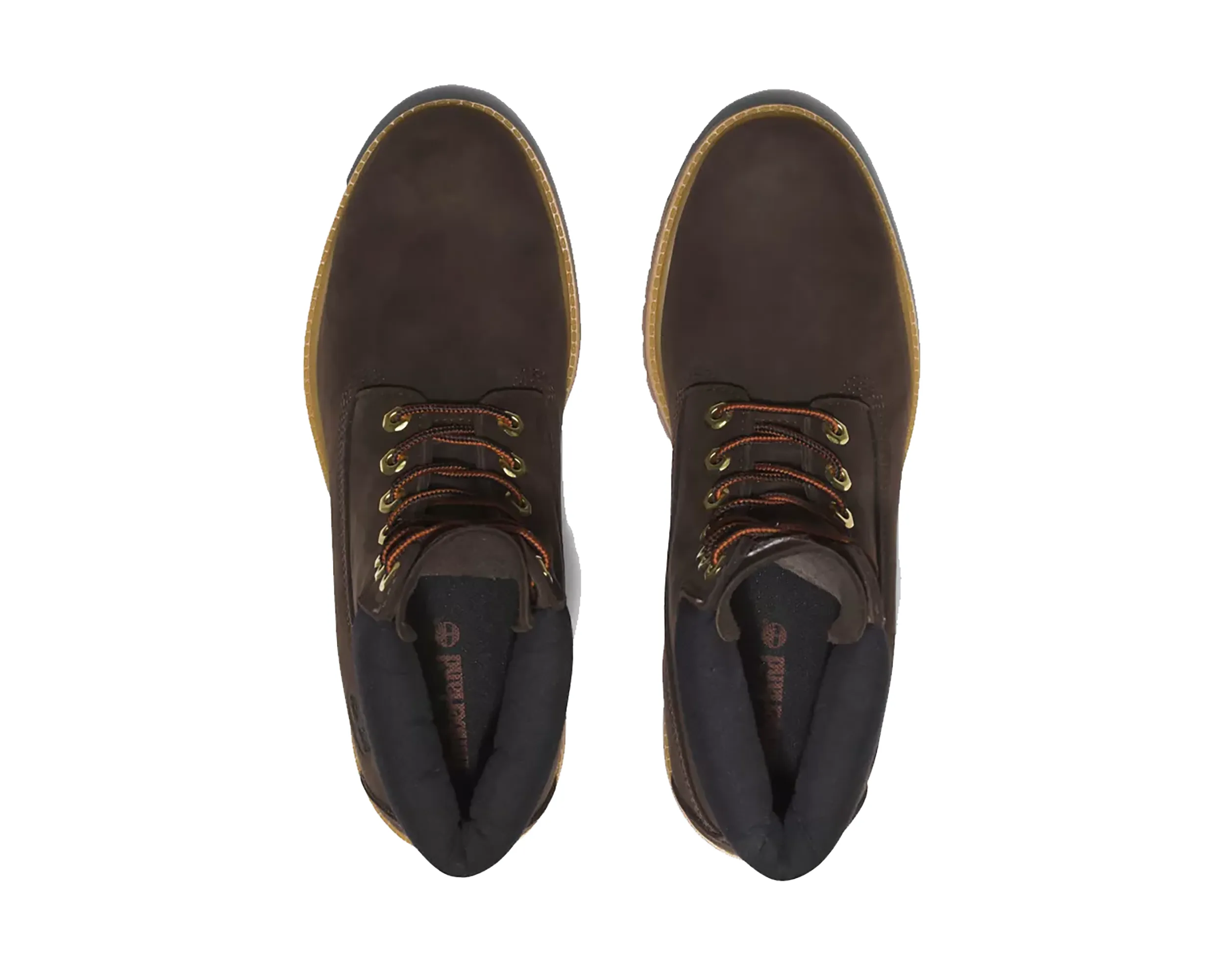Men`s 6-INCH Premium WTPF Boot