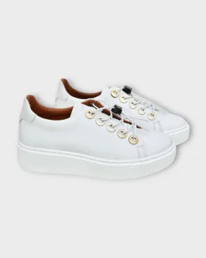 MJUS M08102 Size 36 only