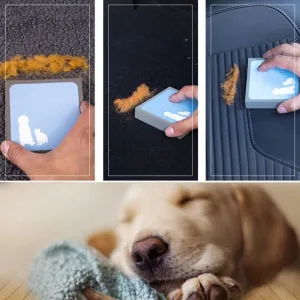Pet Hair Fantastic Foam Block
