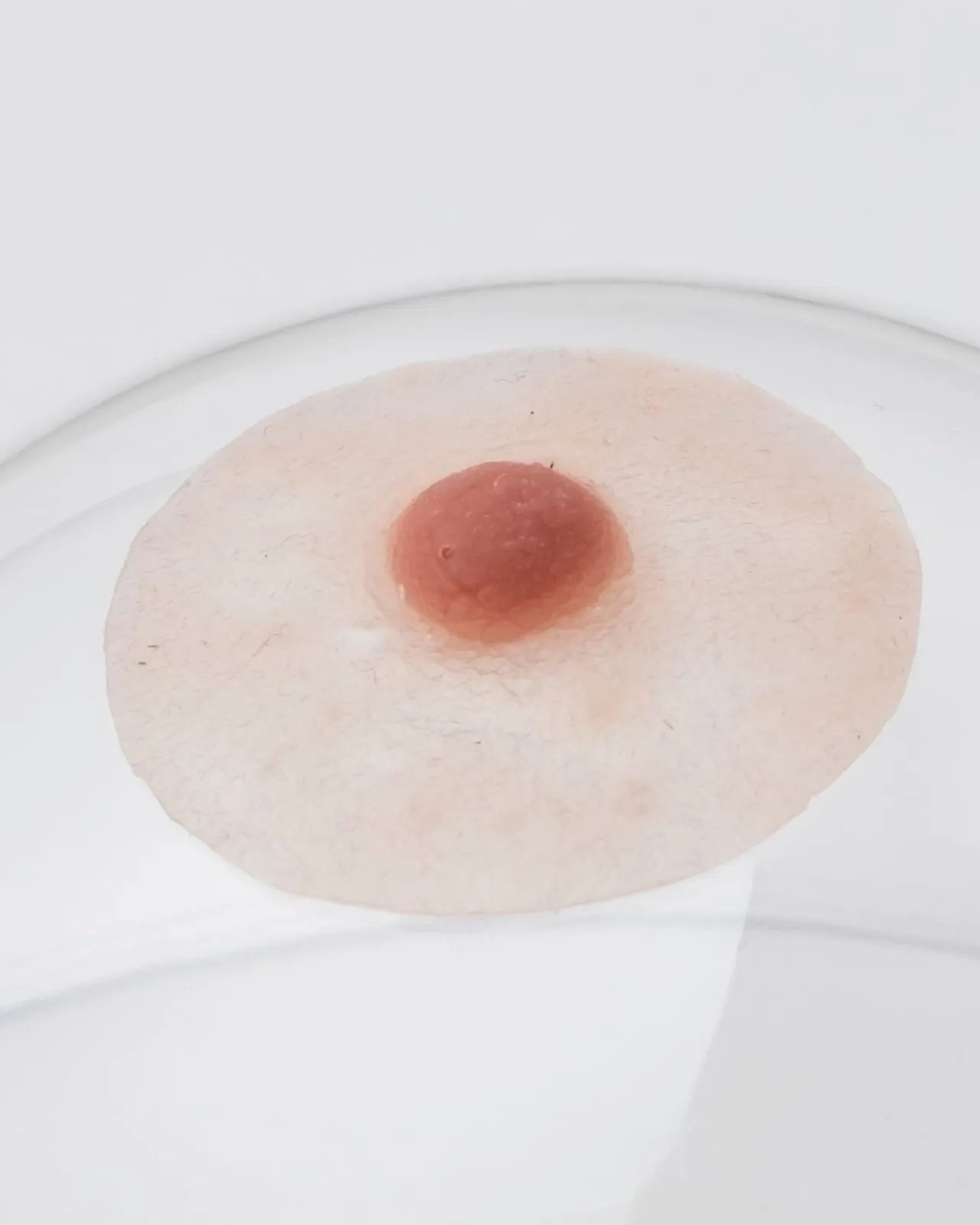 Pink Perfect Special Nipples with Adhesive