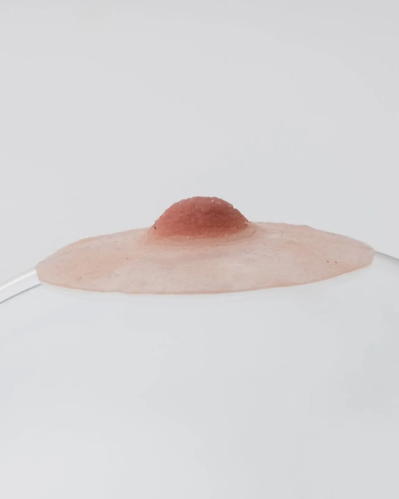 Pink Perfect Special Nipples with Adhesive