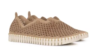 Tulip Flats