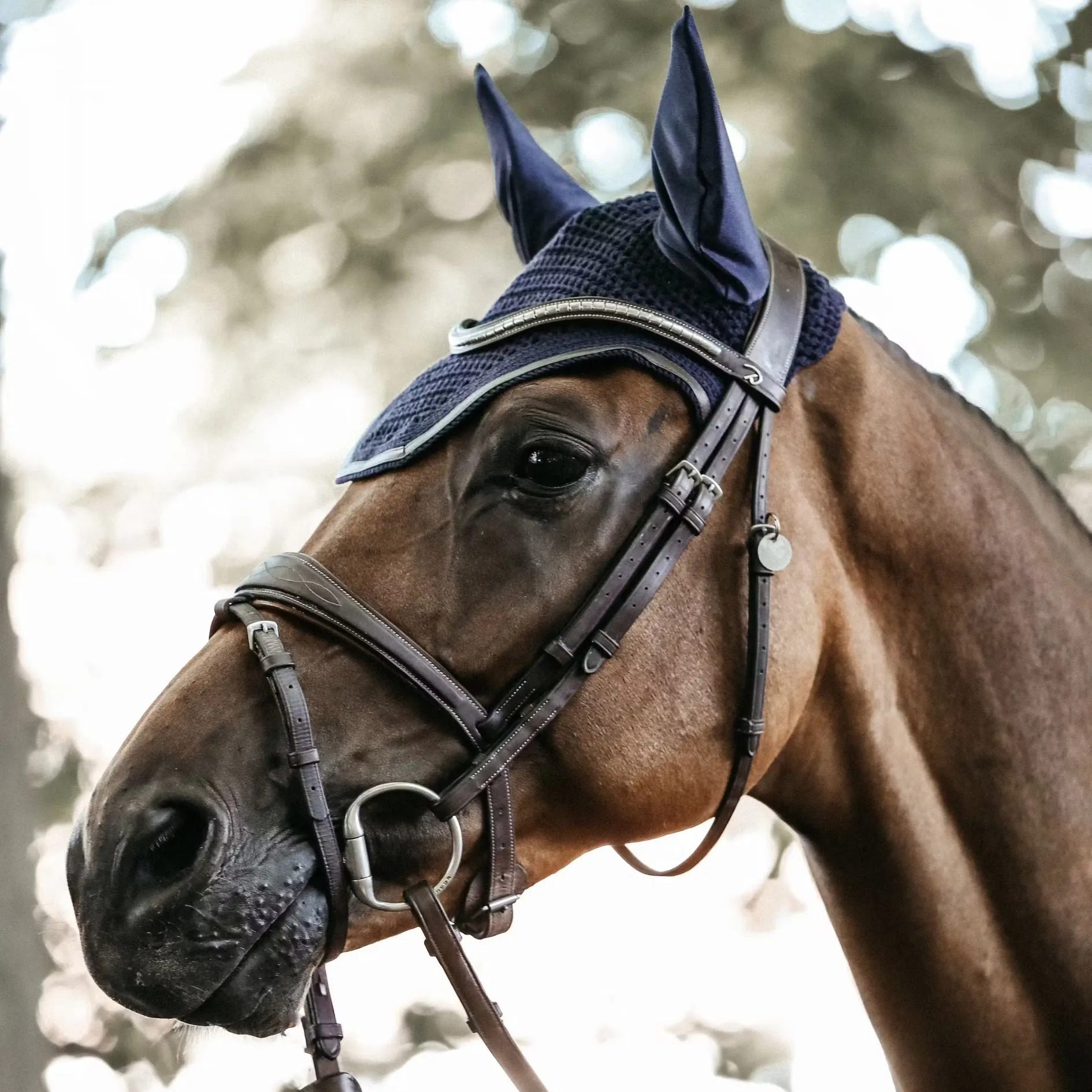 Wellington Fly Veil Leather - Navy